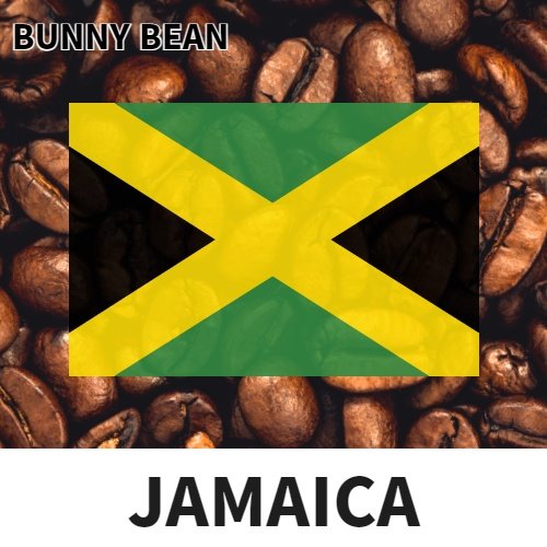 자메이카 블루마운틴 100g